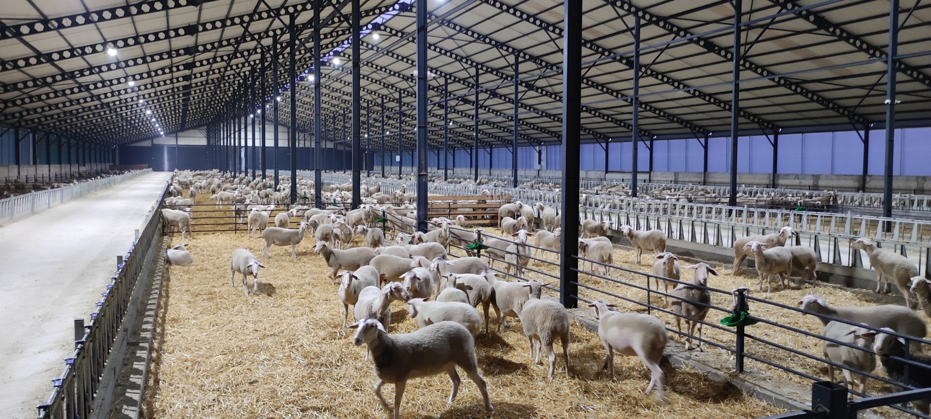 Çiftlik Malzemeleri Ve  Ahır Ekipmanları Nedir Nasıl Kullanılır ?